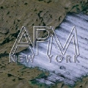 Apm Models New York logo