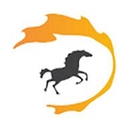 Apollo Dealer Services logo
