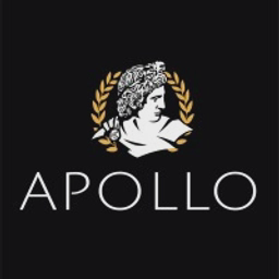 APOLLO GALLERIES Ltd logo