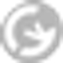 Apollo Property Management logo