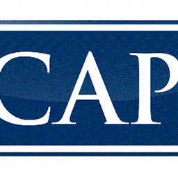 Court Appearance Professionals logo