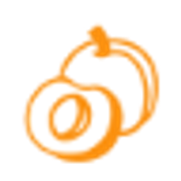 APRICOT INFO TECH INC logo