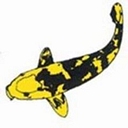 Aquajoy Water Gradens Ltd logo
