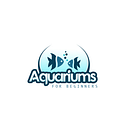 Aquariums For Beginners