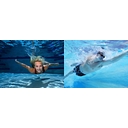 Aquatics Academy