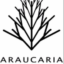 Araucaria logo