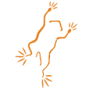 ASSOCIATION OF REPTILE AND AMPHIBIAN logo