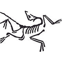 Arcteryx