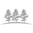 Arden Forest Ultrasound Ltd. logo
