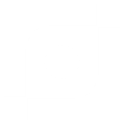 Argus Systems, Inc. logo