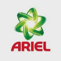 Logo of ariel.in
