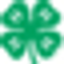 Arkansas 4-h Foundation Inc logo