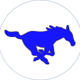 Singleton Es logo
