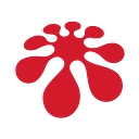 Arkusnexus logo