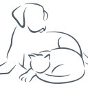 Arlington Pet Hospital