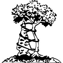 Arrowhead Orthopaedics