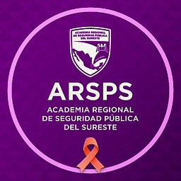 arsps.gob.mx