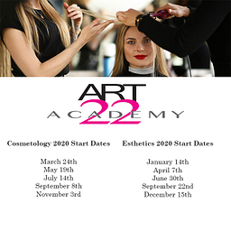 Art22 Academy logo
