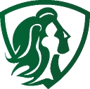 Artemis Federal logo