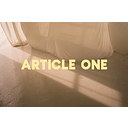ARTICLE ONE