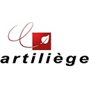 artiliege.be icon