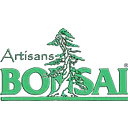 Artisan's Bonsai