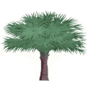 Artistree Landscape Maintenance & Design logo