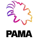PERFORMING ARTS MEDICINE ASSOCIA