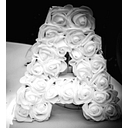 Aruni Y Photography logo