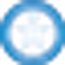 AMERICAN SYRINGOMYELIA ALLIANCE PROJECT INC logo