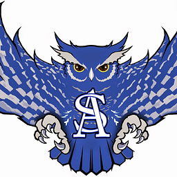 ANDERSON-SHIRO JR/SR H S logo