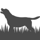 Ash Creek Animal Hospital