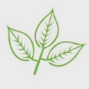 Ash Field Academy logo