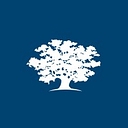 Ashoka logo