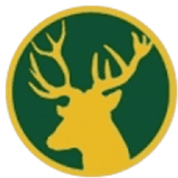 Ashtead Cricket Club logo