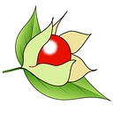 Ashwagandha logo