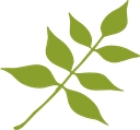 Ashwood School logo