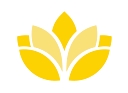 Asia Actual Llc logo