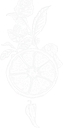 Asian Food Markets logo