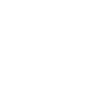 Applied Signals Intelligence, Inc. logo