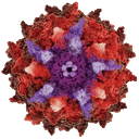 AskBio logo