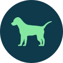 askDANTE systems GmbH logo