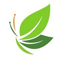 Askleaf logo