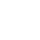 Wonder (Askwonder.Com) logo