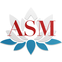 ASM Solutions LLC logo
