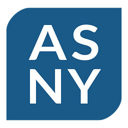 Accounting Solutions for Non-Profit Organizations Inc logo