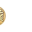 Asp, Inc (Armament Systems And Procedures) logo