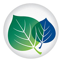 The American Society Of logo