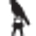 aspendestinations.com icon