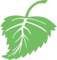 Aspen Grove Landscape logo